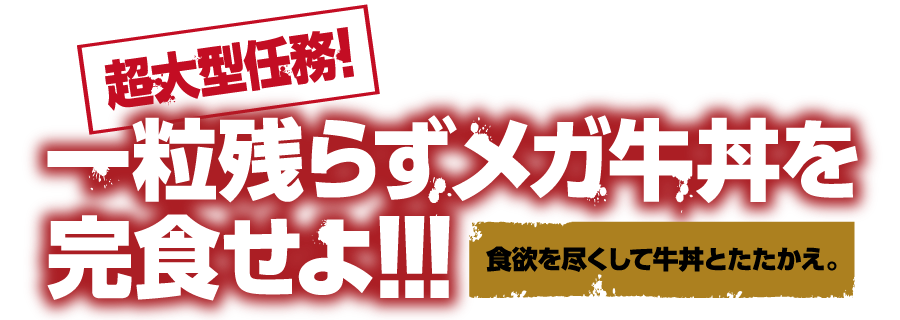 【超大型任務！】一粒残らずメガ牛丼を完食せよ!!!